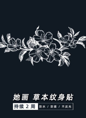 她画 樱花草本纹身贴半永久贴纸草木防水持久女辣妹果汁图案仿真