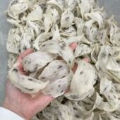 包邮 原始轻毛燕窝盏 50克398 再下单 能接受原生态燕窝