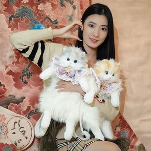 仿真猫咪背包布偶猫玩具可爱毛绒玩偶公仔双肩女朋友闺蜜小孩礼物