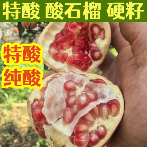特酸 酸石榴水果新鲜包邮 云南蒙自现摘云南建水酸石榴 特酸 纯酸