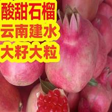 大籽大粒品种 云南建水酸甜石榴 5斤特大果 半口酸甜石榴新鲜水果