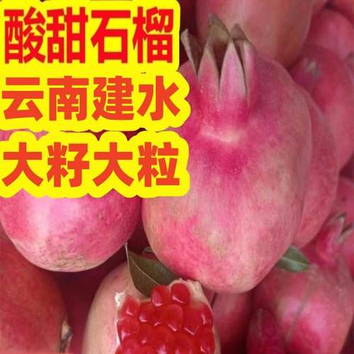 建水酸甜石榴蒙自半口酸甜石榴