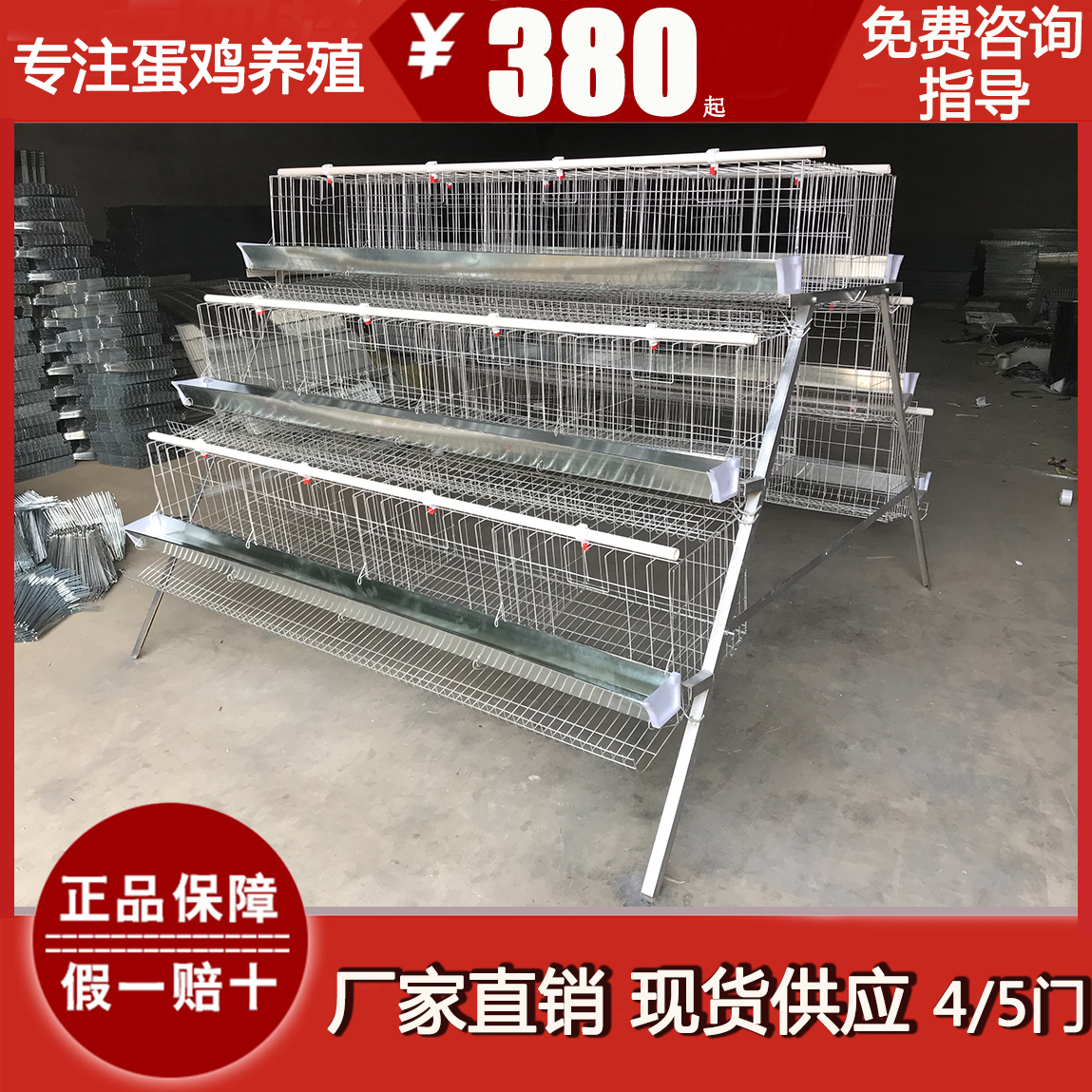 厂家直销层叠阶梯式清粪蛋鸡笼