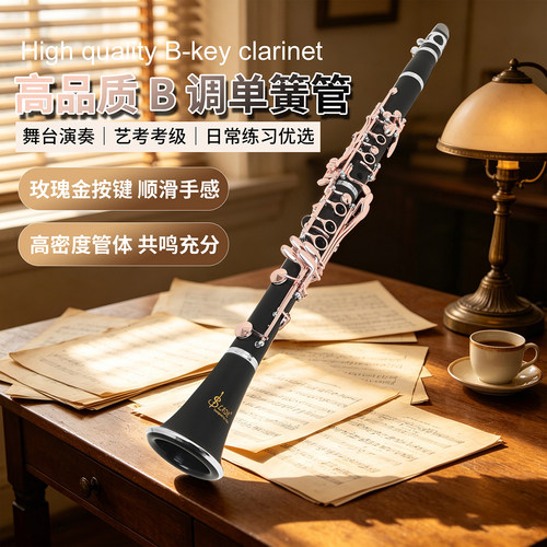 LDC820单簧管17键ABS管体初学者