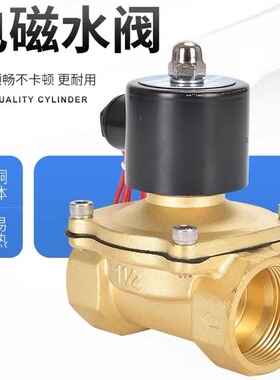 电磁阀开关阀水阀2W025-08/4分6分1寸常闭DC24V一进一出AC220V