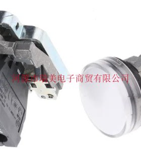 Schneider施耐德Harmony XB4指示灯22MM切面直径白色LED灯XB4BVG1