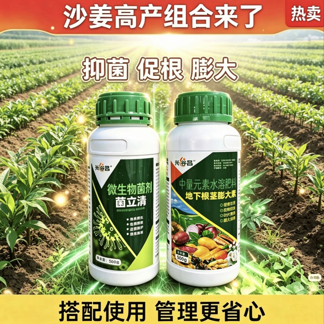 沙姜魔芋抗病增产真菌细菌抑菌根腐白粉膨大绿叶菌立清膨大剂组合