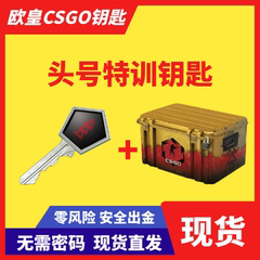 【现货秒发】CSGO头号特训钥匙带武器箱 无需改区 出金刀皮肤