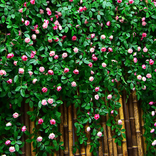 不骗人，巨好看，高仿真，2米2长