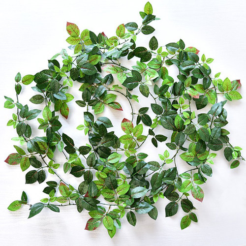 哎！妈呀太仿真了吧玫瑰叶藤条