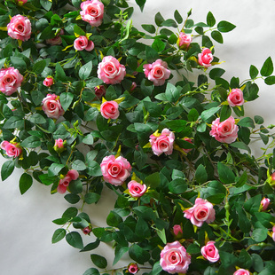 仿真玫瑰花藤花墙高档假花藤条空调管道藤蔓装 饰植物遮挡塑料绿植