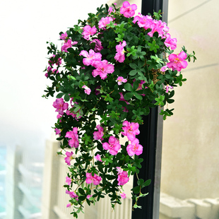 饰花吊花假花藤条塑料花绿植壁挂吊兰植物 仿真映山红杜鹃花墙面装