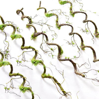 苔藓树枝仿真藤条弯曲造型装饰