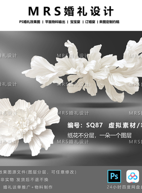 【MRS】婚礼大型白色纸花设计SQ87 褶皱纸艺道具效果图PS