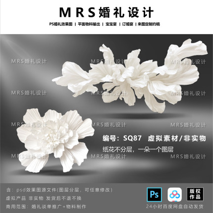 【MRS】婚礼大型白色纸花设计SQ87 褶皱纸艺道具效果图PS