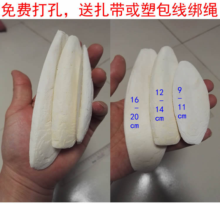 墨鱼骨 海螵蛸 鸟类 仓鼠 龙猫 龟类补钙,宠物/宠物食品及用品,鸟禽其他,淘宝优惠券,粉丝福利购,淘宝优惠卷