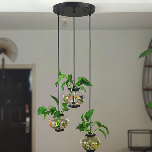 吊挂玻璃鱼缸客厅水培花瓶工业风