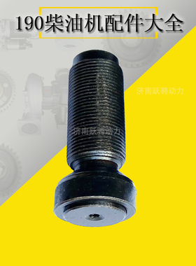 500gf1-2rz 12V190 Rocker bridge adjusting screw 12VB.03.60D