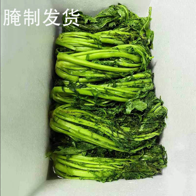 青色咸菜雪里红安徽邕富农家小菜
