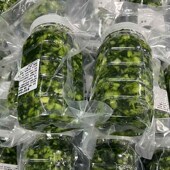 绿色腌制新鲜雪菜农家自制辣菜下饭菜无色素防腐剂农村腌渍嫩辣菜