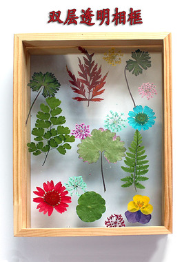 创意双层玻璃相框树叶干花植物标本相框摆台相框DIY相框画框