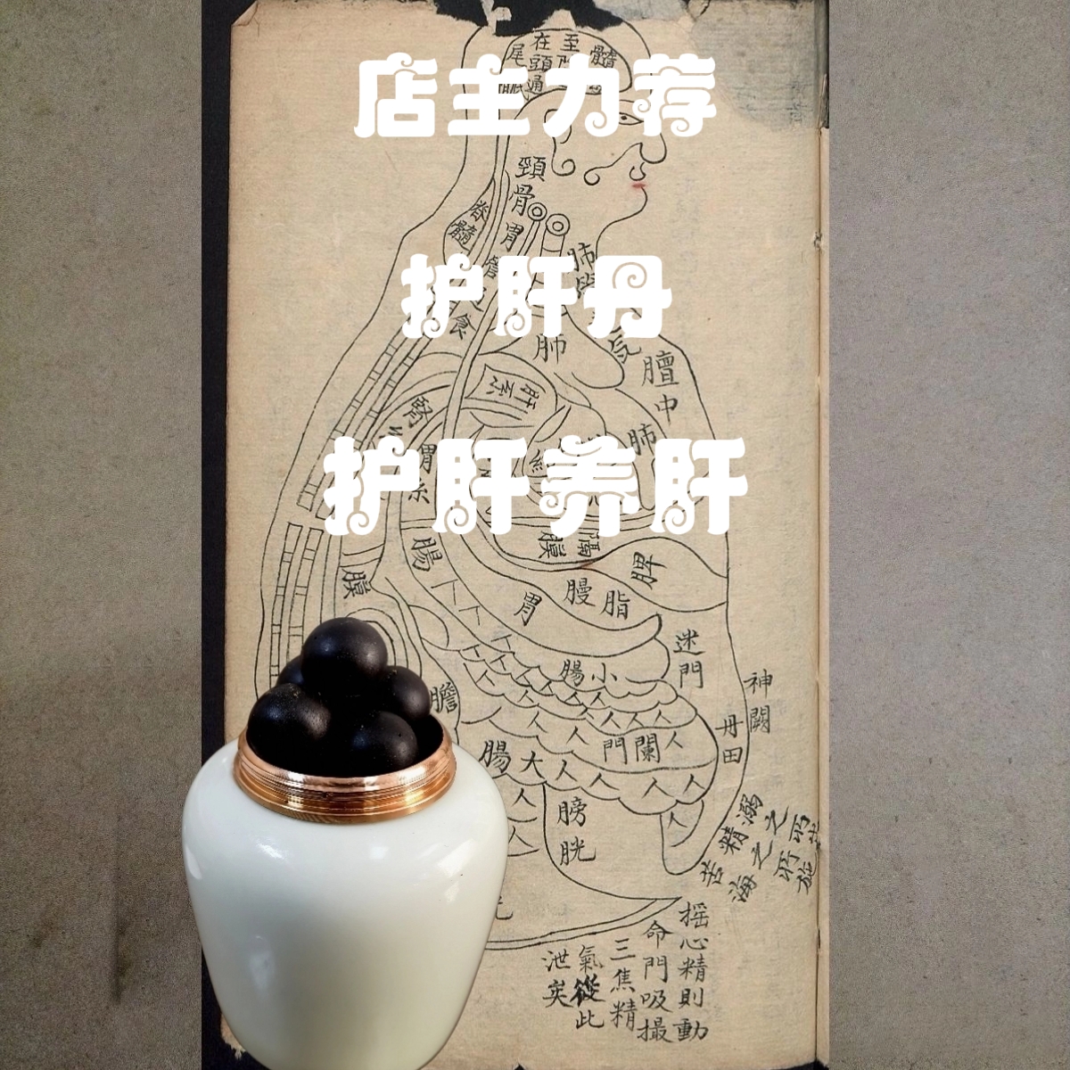 五行养生护肝丹中草药精油肚脐贴保肝排毒肝胆养护保健贴