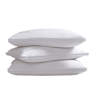 帝豪家纺 五星级酒店鹅绒枕95白鹅绒枕头男女护颈枕助睡眠羽绒枕