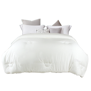 帝豪家纺 云绒丝滑被莫代尔提花冬被平玉米被子秋冬双人被芯加厚