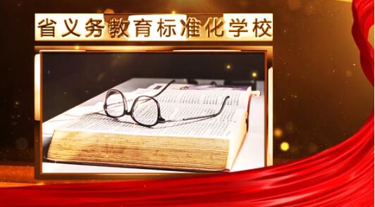 金色光晕粒子金属质感相框企业颁奖获奖资质证书展示动画ae模板
