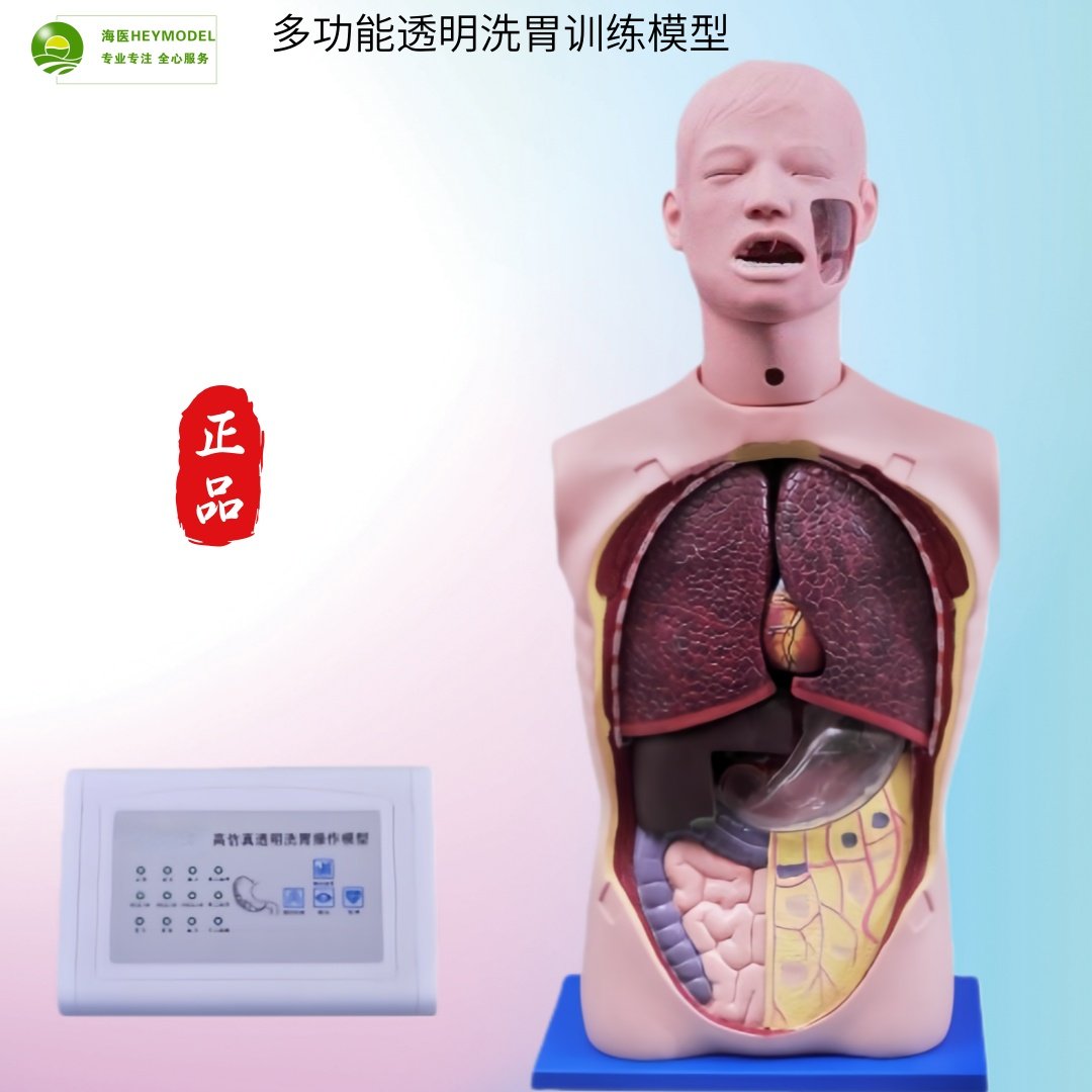 海医多功能透明洗胃模型气管插管护理模型鼻鉰模型口腔护胃肠减压,文具电教/文化用品/商务用品,教学标本/模型,淘宝优惠券,粉丝福利购,淘宝优惠卷