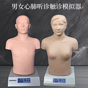 医信遥控心肺听诊模拟人医用心脏触诊听诊训练假人体模胸部体格检