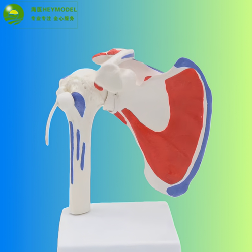 可开发票超200人加购保修3年