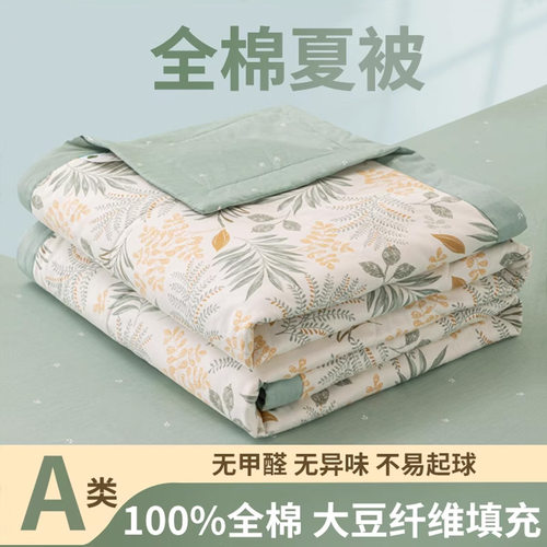紫罗兰A类全棉印花大豆纤维空调被大豆被夏季薄被子学生宿舍床品