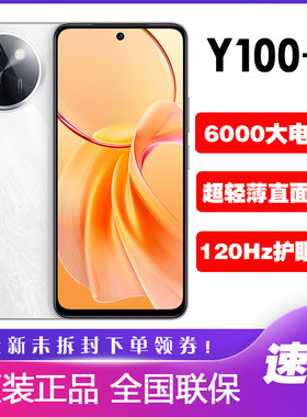 vivo Y100+智能5G手机6000毫安大电池y100闪充护眼直屏 vivoy100+