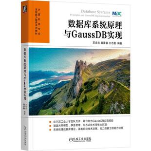 数据库系统原理与GaussDB实现 王宏志 巢泽敏 齐志鑫 机械工业出版社9787111802938