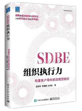 现货 SDBE组织执行力 构建客户导向的流程型组织 胡荣丰 电子工业出版社9787121495007正版书籍