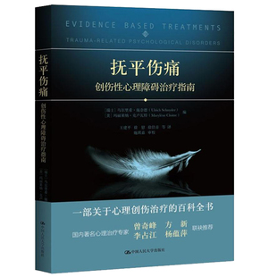 抚平伤痛 创伤性心理障碍治疗指南 瑞士 乌尔里希 施奈德 中国人民大学出版社 心理障碍指南 临床工作者心理医师 心理自助读物书籍