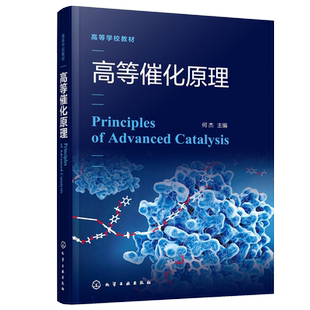 高等催化原理 何杰 主编  9787122406095化学工业出版社