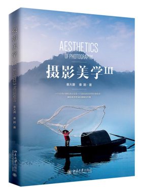 摄影美学Ⅲ 秦大唐 艺术摄影分析教程 摄影美学教程 秦鹏 北京大学出版社 9787301305225 抽象美对比美均衡美图书籍