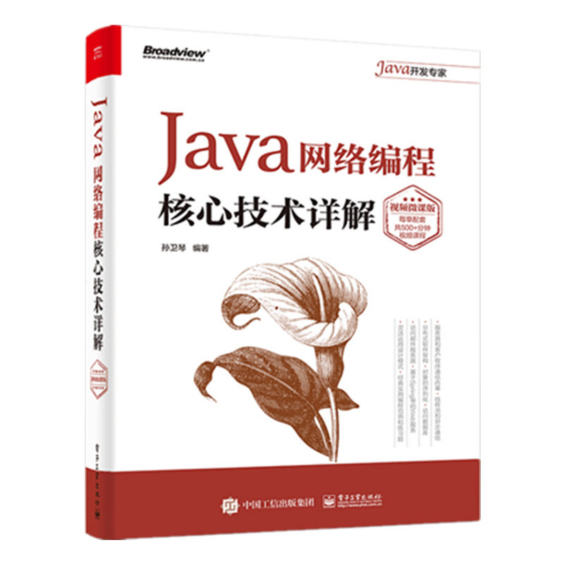 正版书籍Java网络编程核心技术详解（视频微课版）孙卫琴 电子工业出版社9787121383151