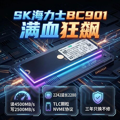 SK海力士BC901256GNVME固态硬盘