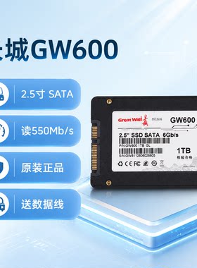 长城G6002.5SATA固态硬盘