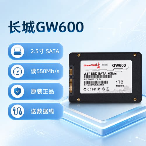 长城G6002.5SATA固态硬盘