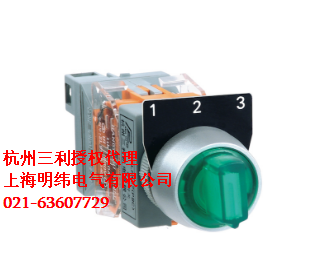 杭州三利SANLI原装三位自复带灯旋钮LAY37PBC-ED3 总代理按钮开关