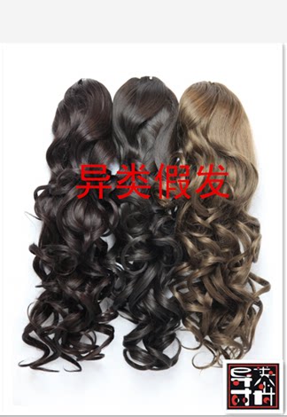 Extension mèches - Ref 220324 Image 3