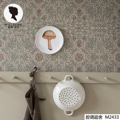 腔调文艺复兴壁纸美丽精致民玫瑰和藤蔓浅褐色背景粉色客厅M2433