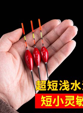 超短草洞漂浅水鱼漂小白条鲫鱼