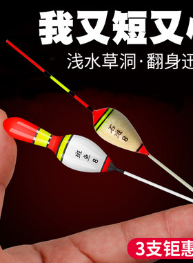 白条马口石斑浅水小短漂加粗醒目