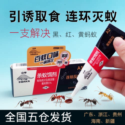 灭蚁胶饵山甲蚂蚁药买2送1