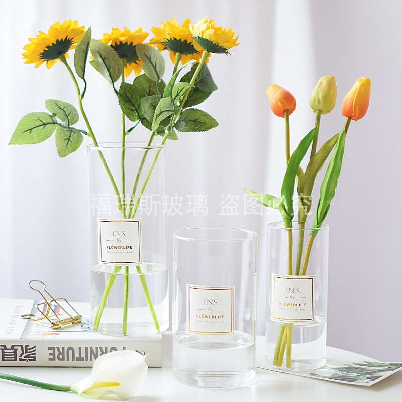 北欧简约玻璃居家插花直筒花瓶